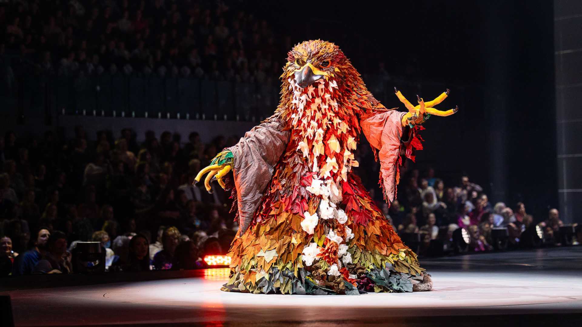 Autumn King, Catherine Anderton, New Zealand